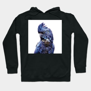 Black Cockatoo Hoodie